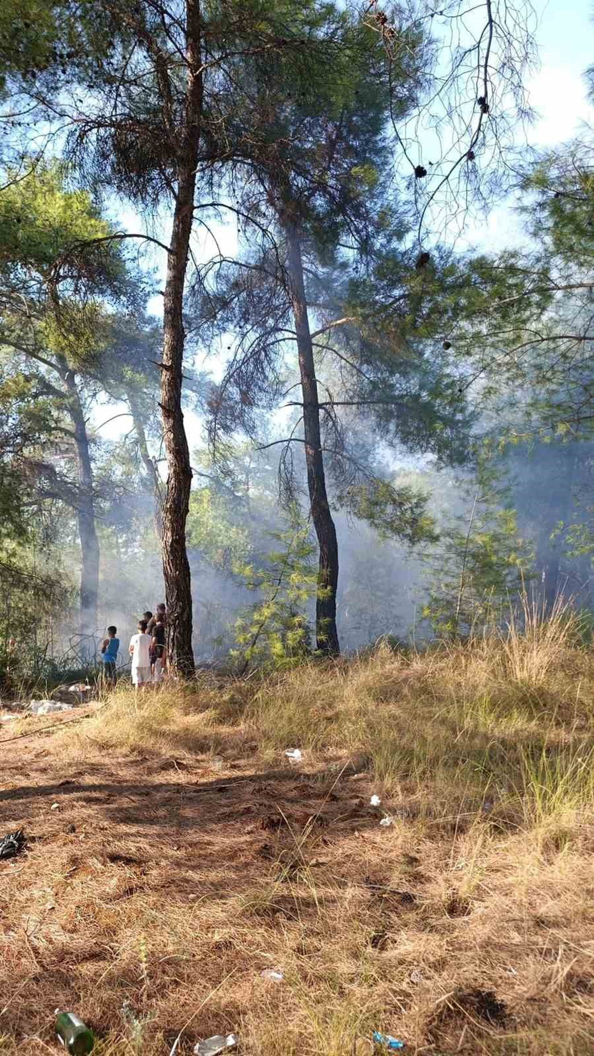 Köyceğiz\'de orman yangını ekiplerin hızlı müdahalesiyle büyümeden söndürüldü