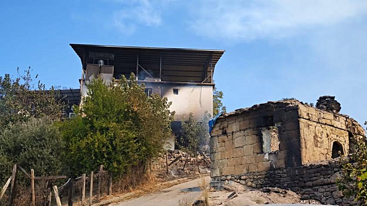 Adana Valisi Yavuz: Aladağ'daki yangın kontrol altına alındı