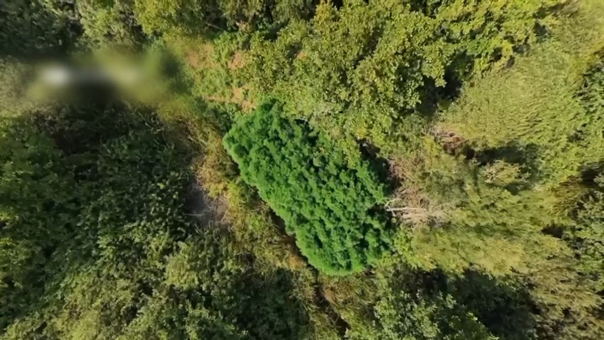Sakarya Karasu\'da uyuşturucu ve silah operasyonunda 2 şüpheli tutuklandı