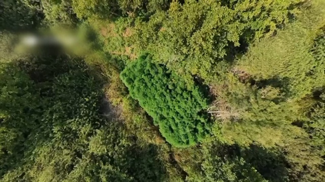 Sakarya Karasu'da uyuşturucu ve silah operasyonunda 2 şüpheli tutuklandı