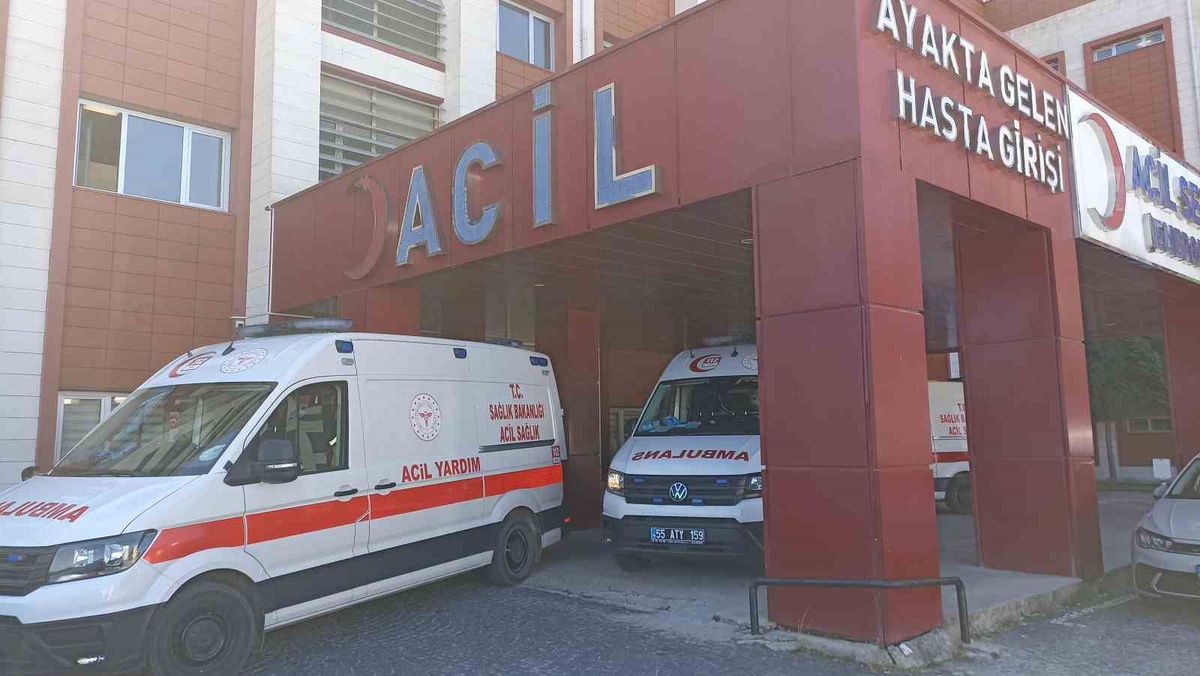 Samsun\'da otomobil şarampole devrildi, Asiye Kaya hayatını kaybetti, 3 kişi yaralandı