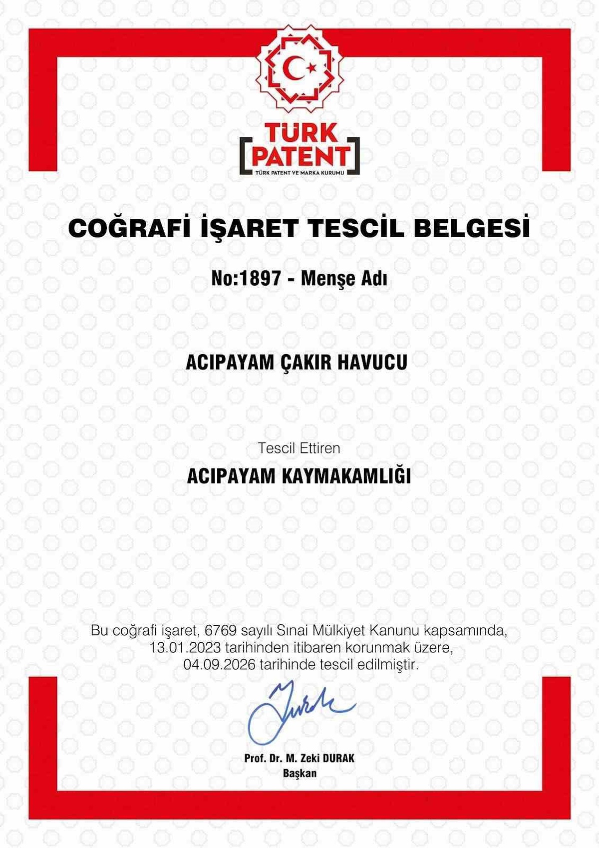 Denizli Acıpayam\'da yetiştirilen Çakır Havucu coğrafi işaretle tescillendi