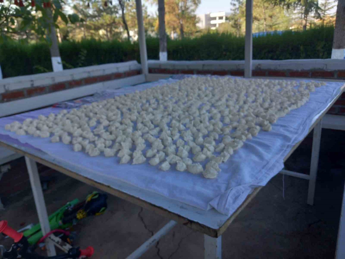 Eskişehir\'de Saadet Arda, iki aileye yetecek kışlık yiyeceği kendi üretiyor