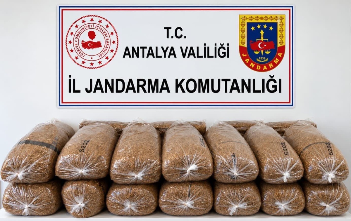 Alanya\'da jandarma operasyonunda kolilerde 144 kilo kaçak tütün bulundu