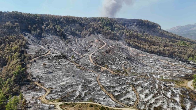 Antalya Aksu'daki orman yangını kontrol altına alındı, 720 kişi tahliye edilmişti