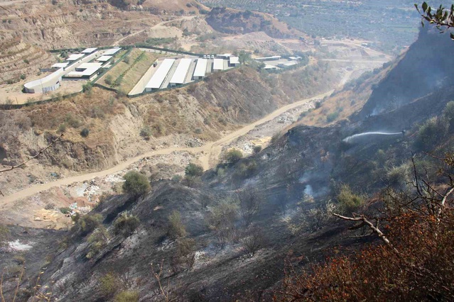Aydın Efeler'deki yangın hastane ve hayvan merkezine dayandı, kontrol altına alındı
