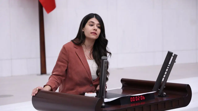 DEM Parti milletvekili Altın, Kızıltepe'deki ev baskınını çocuk hakları için Meclis'e taşıdı
