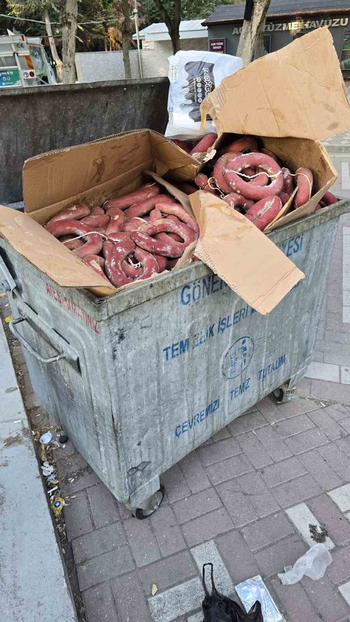 Gönen\'de fuar sonrası çöp konteynerinde çok sayıda kangal sucuk bulundu