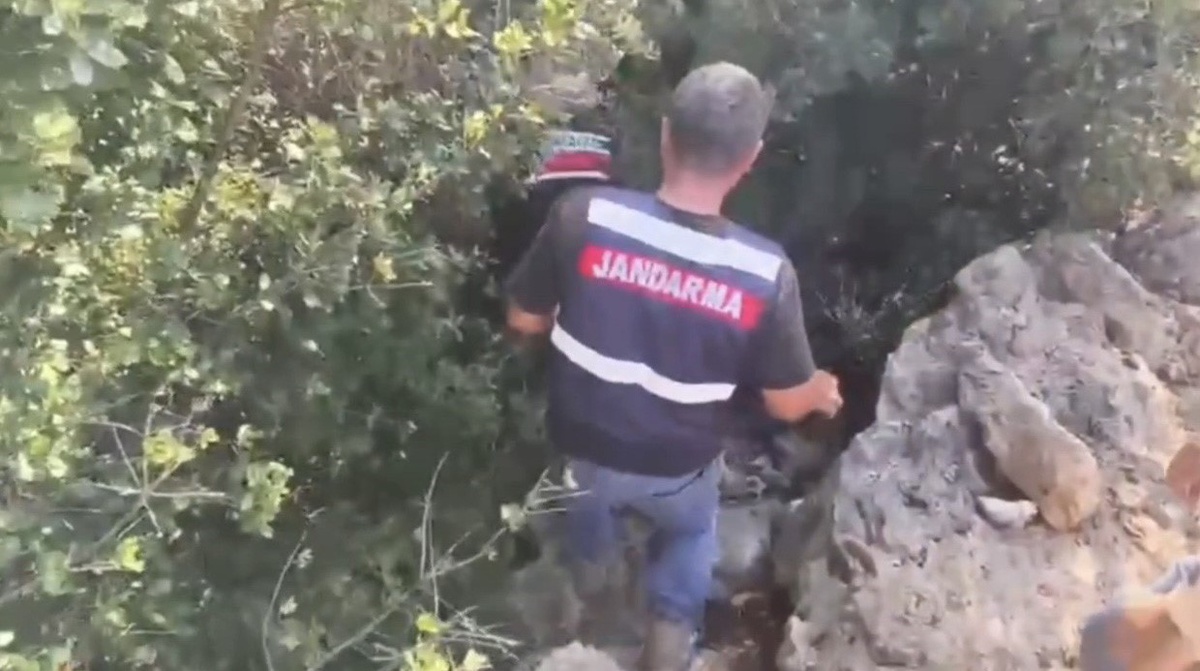 Hatay Samandağ\'da dron destekli operasyonda 371 kök kenevir ele geçirildi