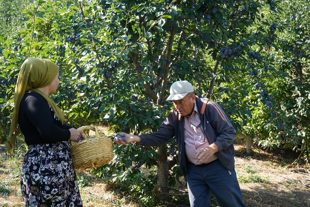 Isparta Eğirdir'de çiftçi, mürdüm eriğiyle ürün çeşitliliğini artırdı