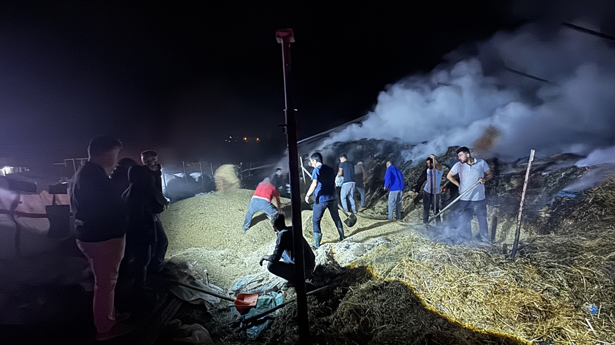 Karabük Eflani\'de çıkan yangında 3 bin balya ot küle döndü