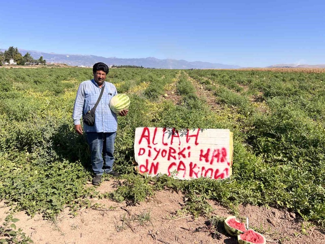Hırsızlardan bıkan çiftçinin bulduğu yöntem şaşırttı