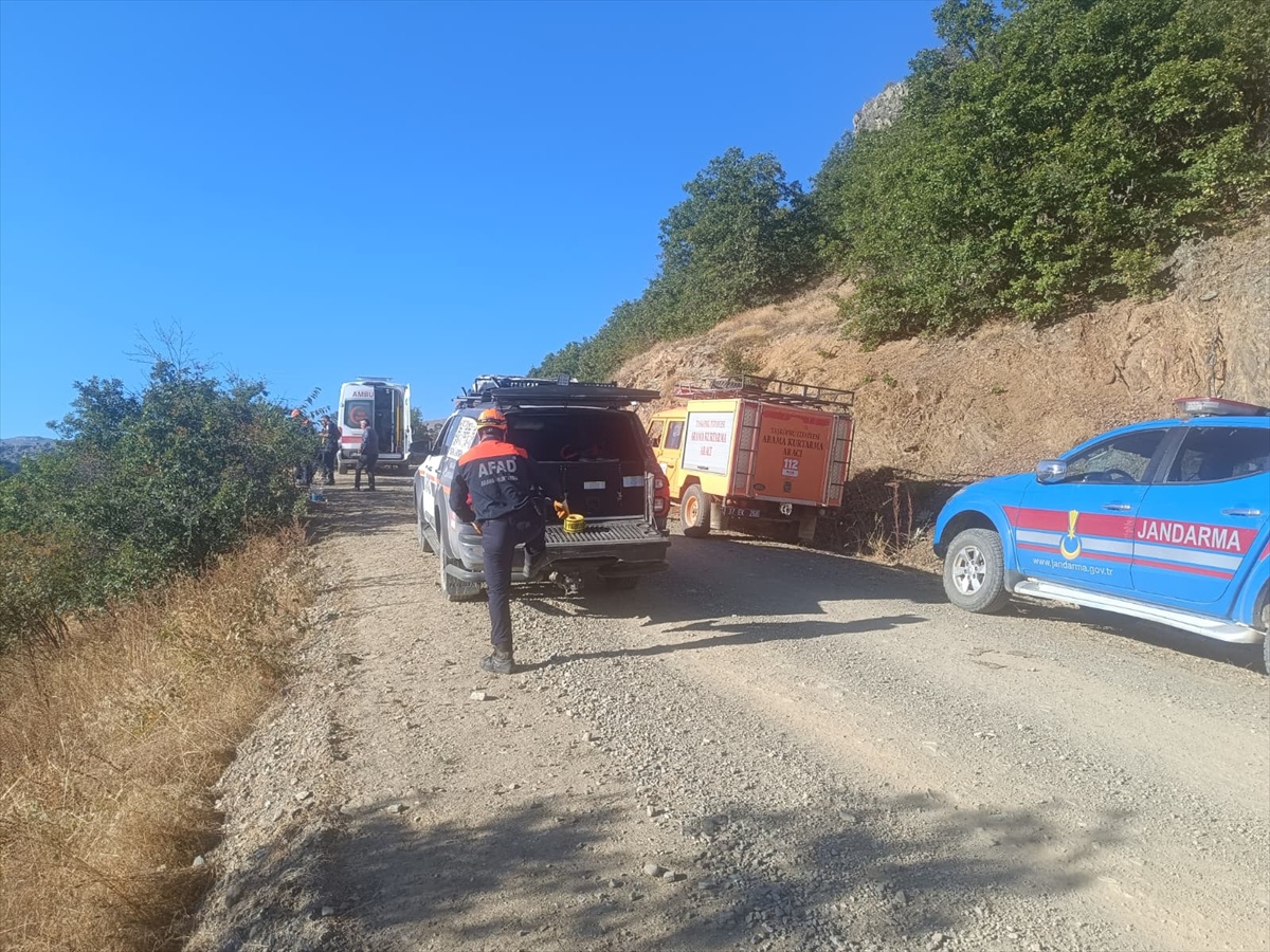 Kastamonu Taşköprü\'de kuşburnu toplarken 30 metre uçuruma yuvarlanan kişi yaralandı