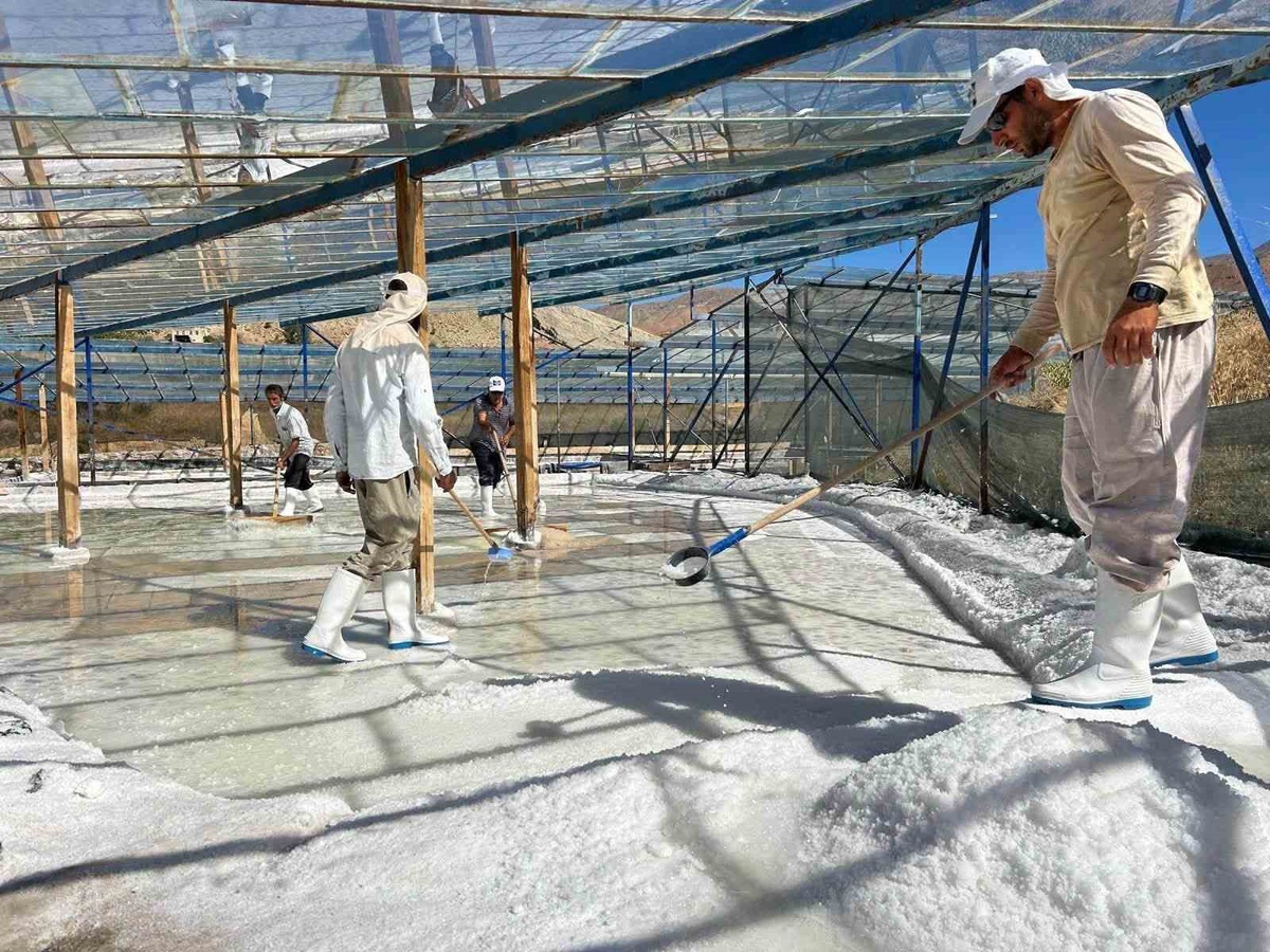 Kemah Kaymakamı Tutay, ilçedeki tuz işletmesinde hasada katıldı