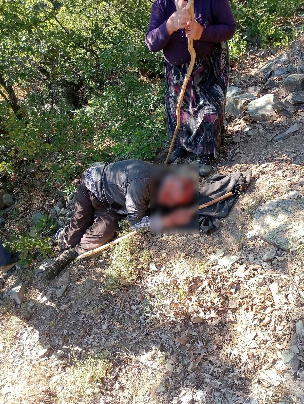 Kastamonu Taşköprü\'de kuşburnu toplarken 30 metreden yuvarlanan Hasan Tekeci yaralandı