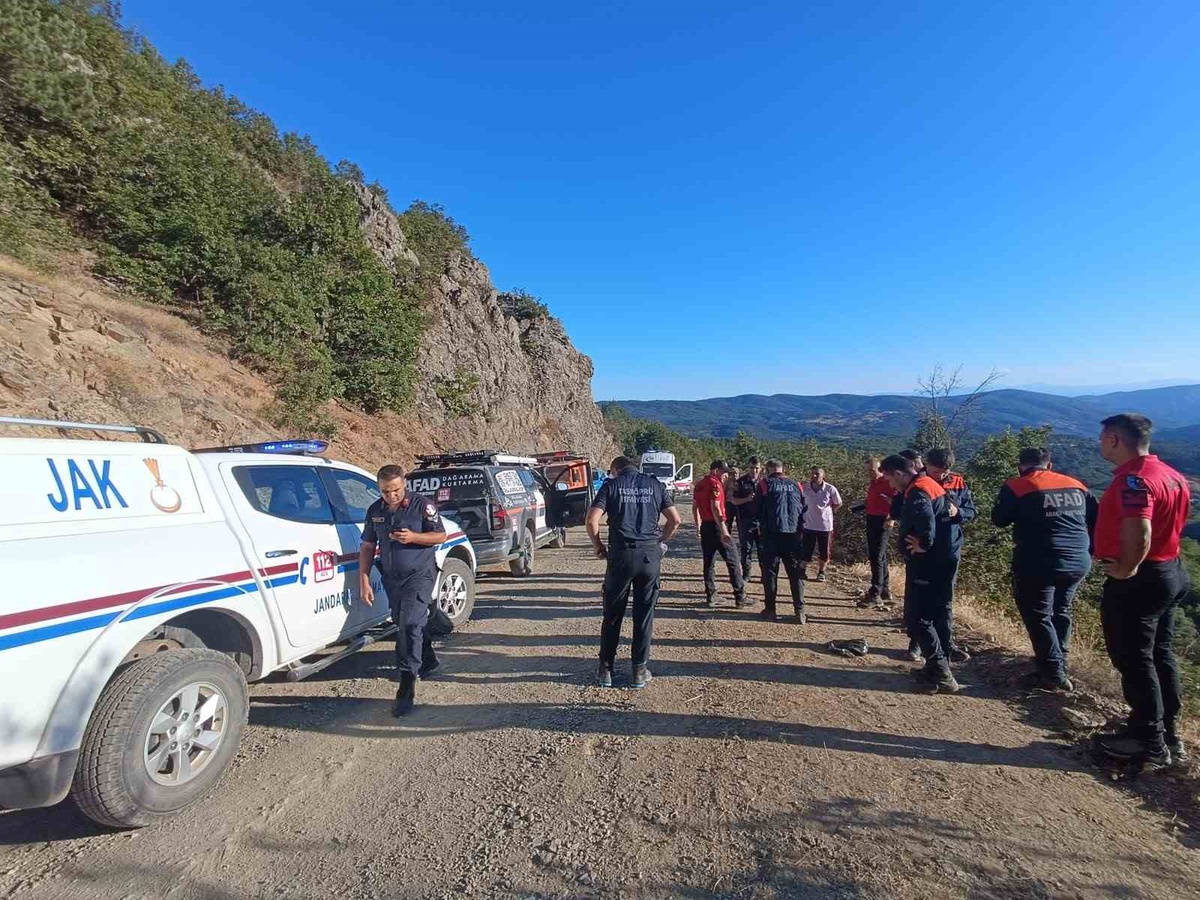 Kastamonu Taşköprü\'de kuşburnu toplayan kişi 50 metrelik uçuruma yuvarlandı