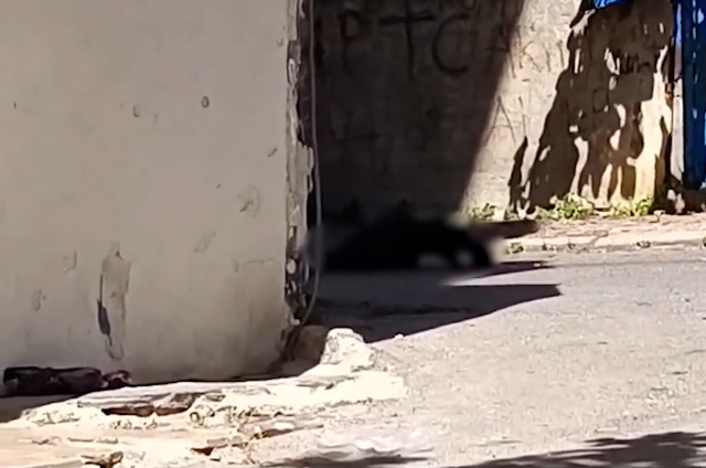 Maltepe’de kiracı, ev sahibi çifte silahla ateş açtı: 2 ölü, 1 ağır yaralı