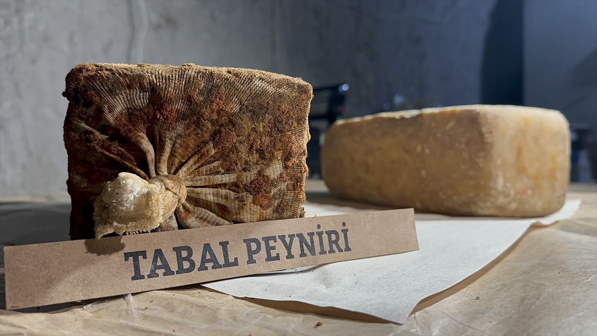 Niğde\'de tüf mağarada olgunlaşan Tabal peyniri 6-8 ayda sofralara ulaşıyor