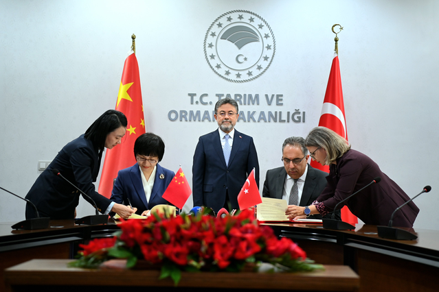 Çin ile imzalanan protokolle defne yaprağı ihracatının önü açıldı