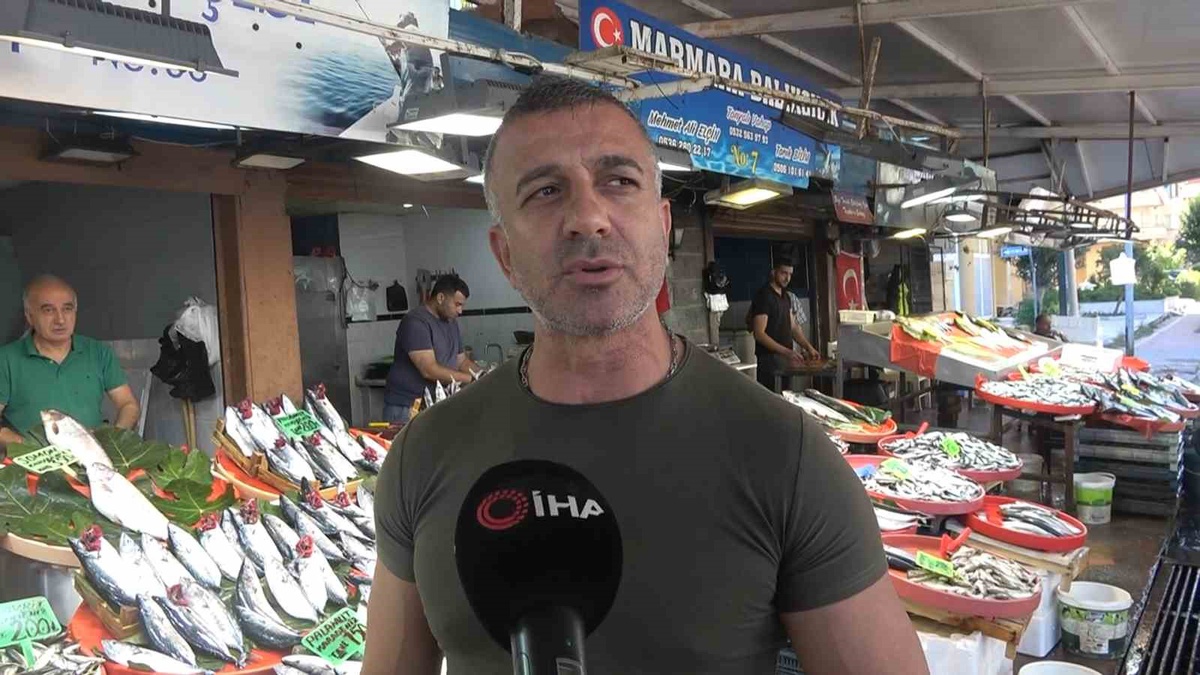 Yalova Balık Hali\'nde av sezonu fiyatları düşürdü, hamsi 150 liradan satılıyor