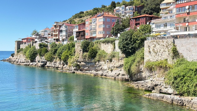 Amasra Kalesi surlarındaki ağaçlar 2 kez temizliğe rağmen yeniden zarar veriyor