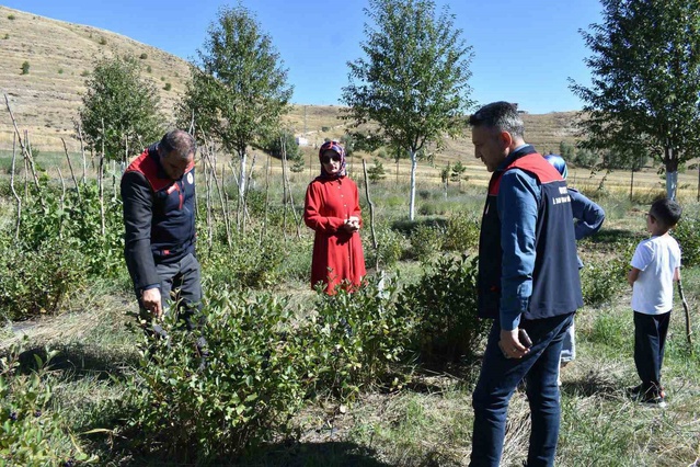 Bayburt'ta aronya üreticisi Önder Turan'a Tarım Müdürlüğünden saha ziyareti yapıldı