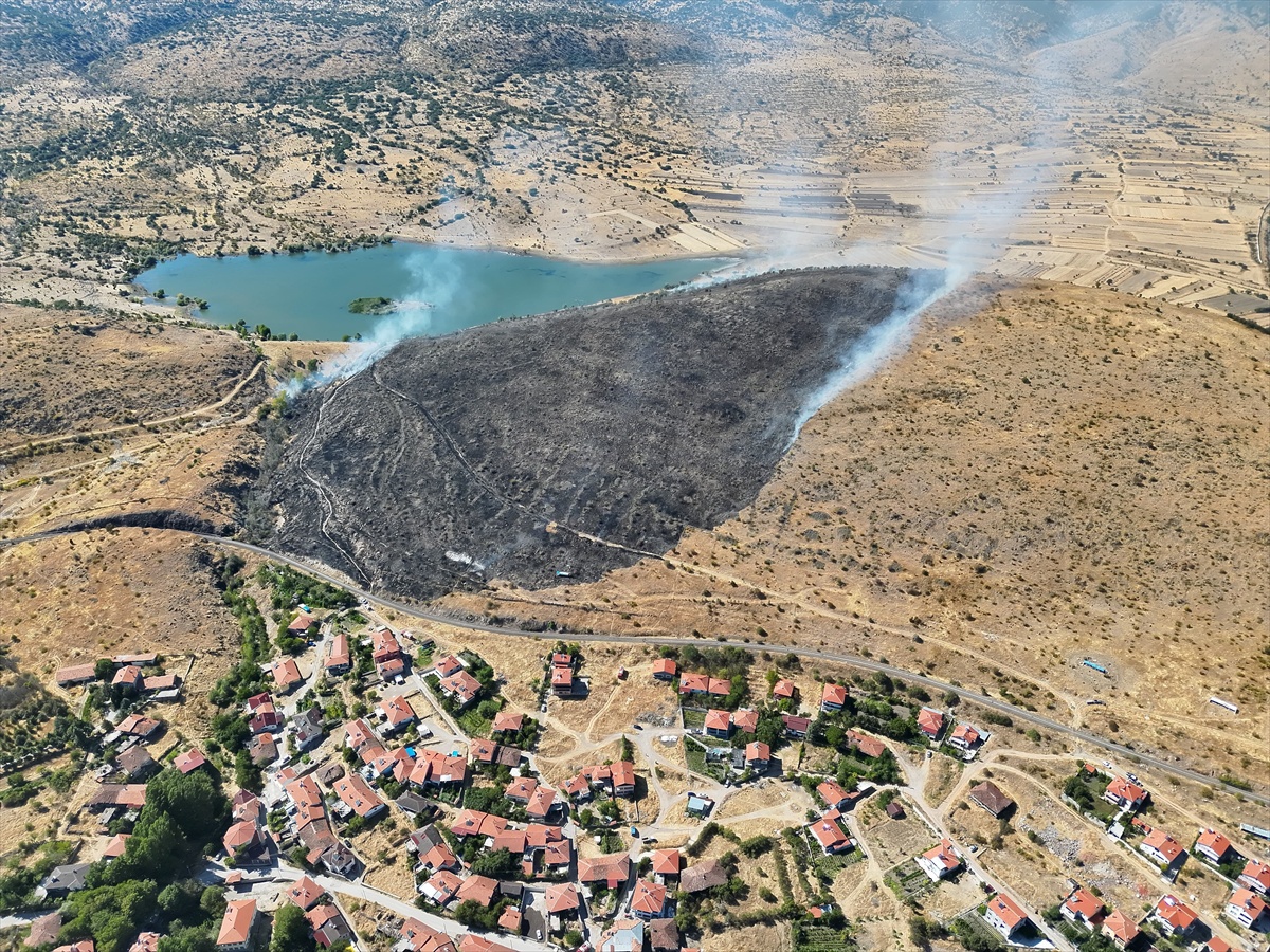 Çankırı Korgun\'da tren kıvılcımı 650 dekar alanı yaktı, 205 arı kovanı küle döndü