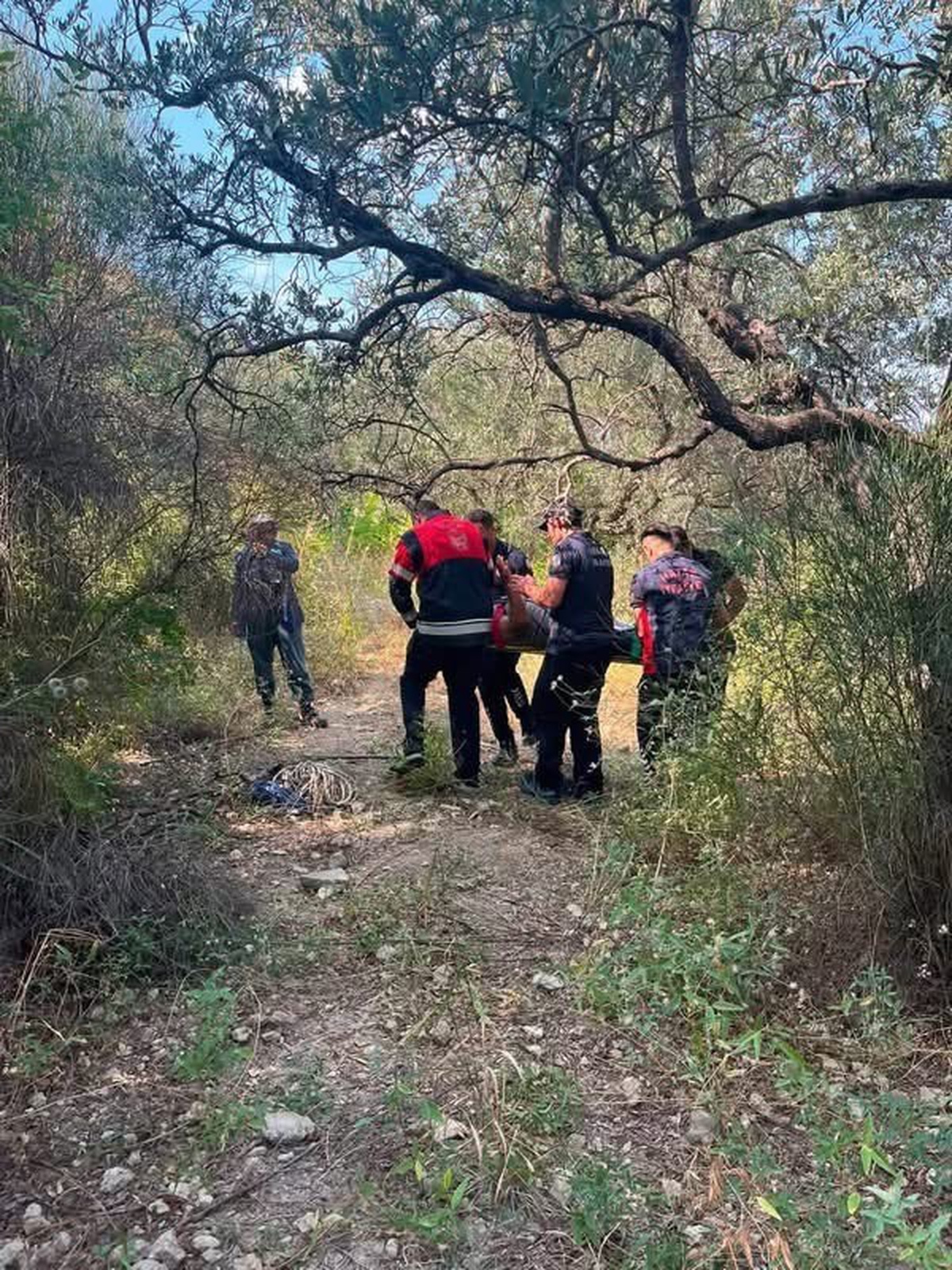 Hatay Defne\'de bahçesindeki ağaçtan düşen vatandaş yaralandı