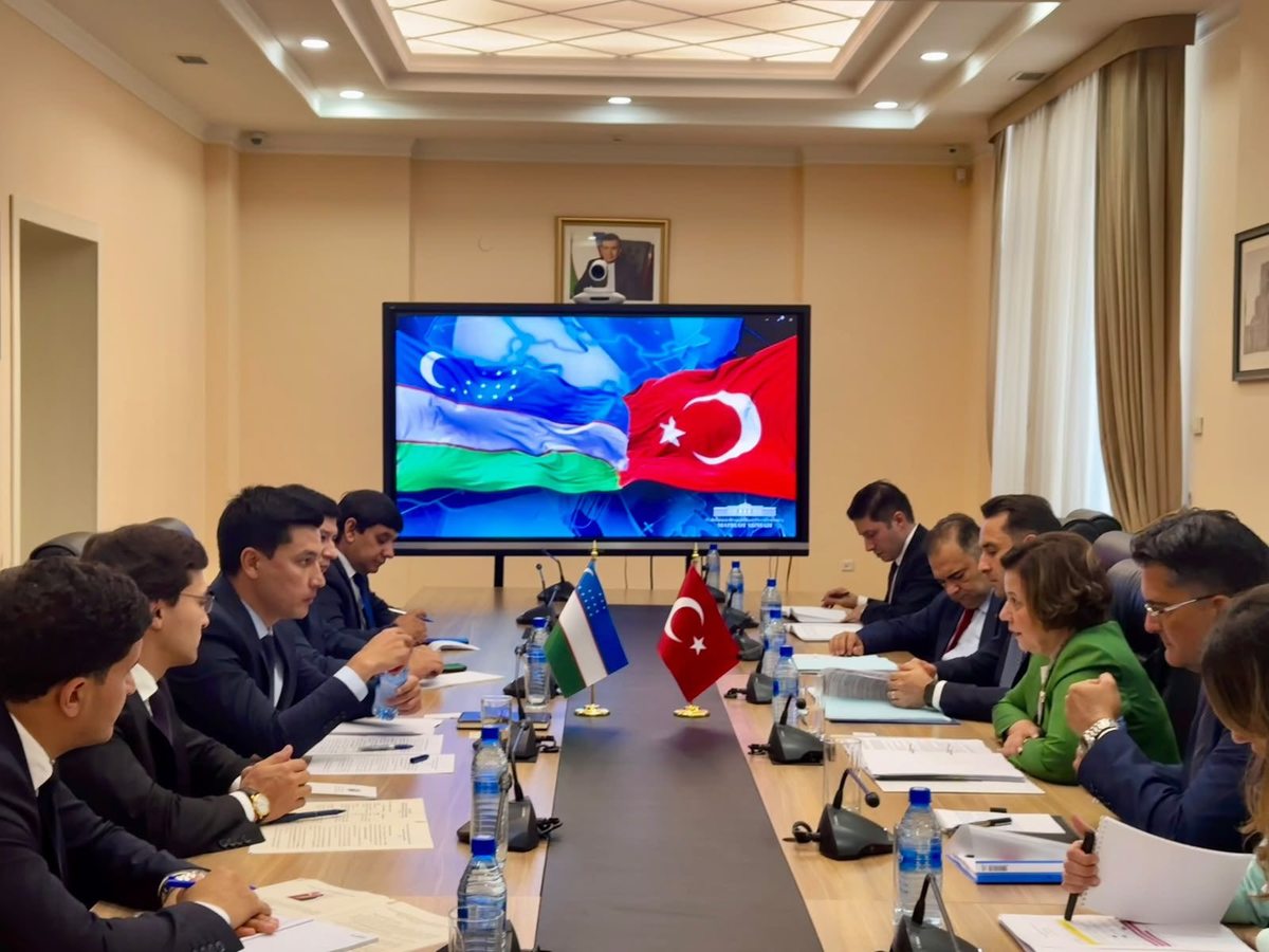 Dışişleri Bakan Yardımcısı Ekinci, Özbekistan\'da yatırım ve enerji temasları yaptı