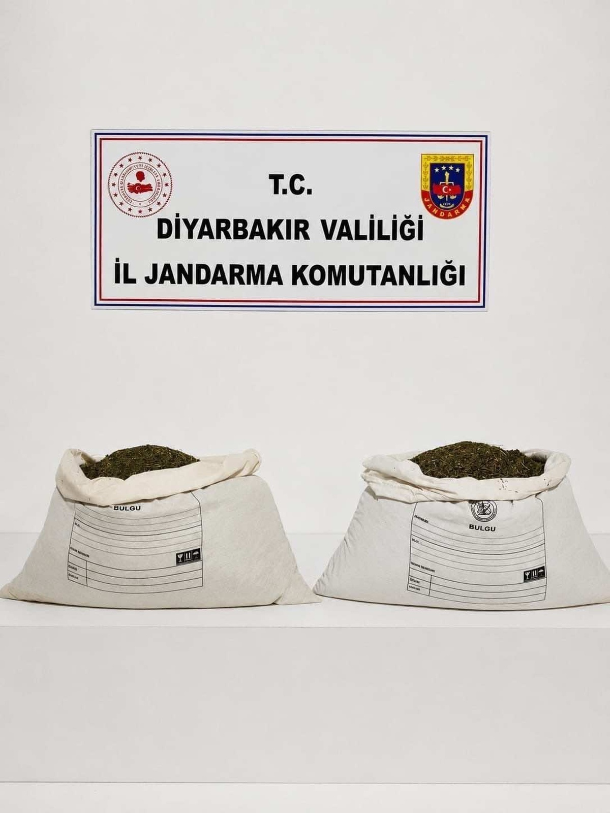 Diyarbakır\'da jandarma operasyonunda 187 bin 391 kök kenevir ele geçirildi