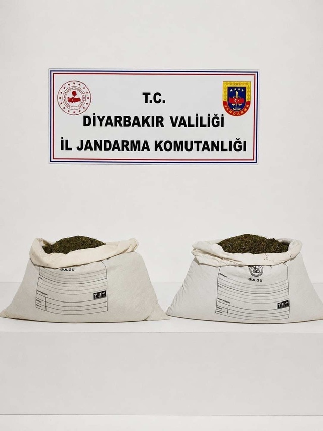 Diyarbakır'da jandarma operasyonunda 187 bin 391 kök kenevir ele geçirildi