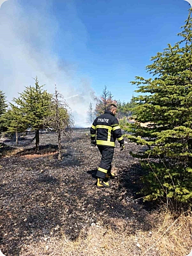 Elazığ Akçakiraz'da ağaçlık alanda çıkan örtü yangını söndürüldü