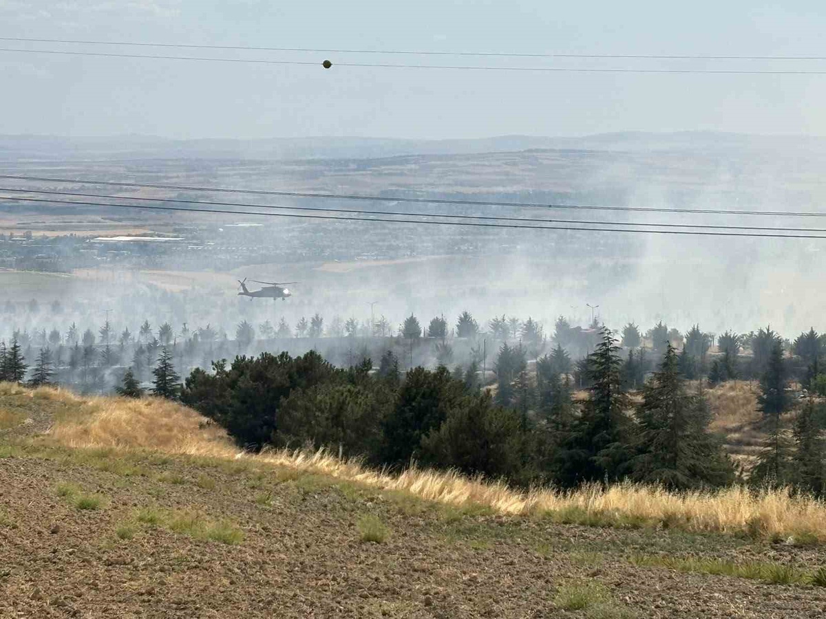 Ankara Gölbaşı\'ndaki orman yangınına 10 su tankeri ve helikopterle müdahale sürüyor