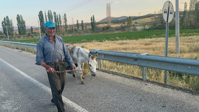 74 yaşındaki çiftçi, 2 dönüm arazide ter döküyor! Tek yardımcısı eşeği