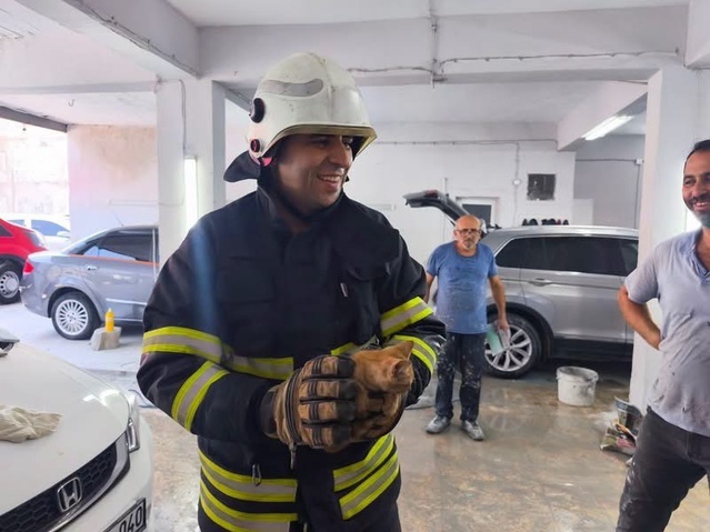 İskenderun'da araç motorlarında mahsur kalan yavru kediler itfaiye tarafından kurtarıldı