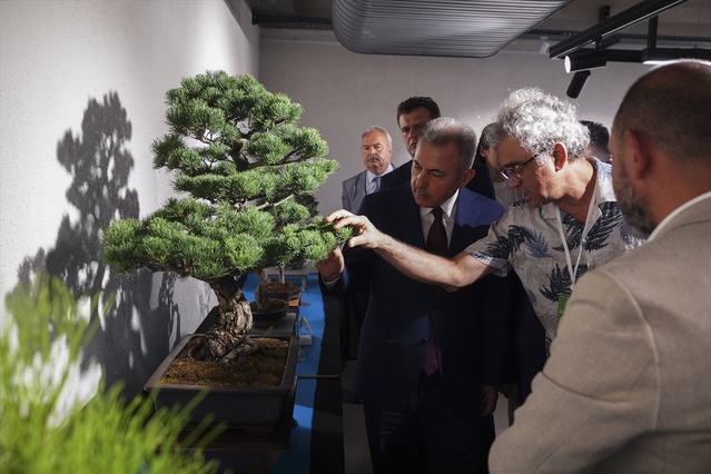 İzmir'de Bonsai Sergisi açıldı, 27 sanatçının 90'a yakın eseri görücüye çıktı