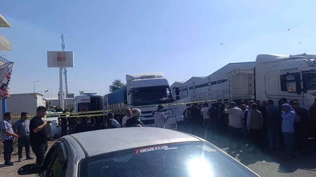 Şanlıurfa Viranşehir'de kamyon şoförü aracında ölü bulundu