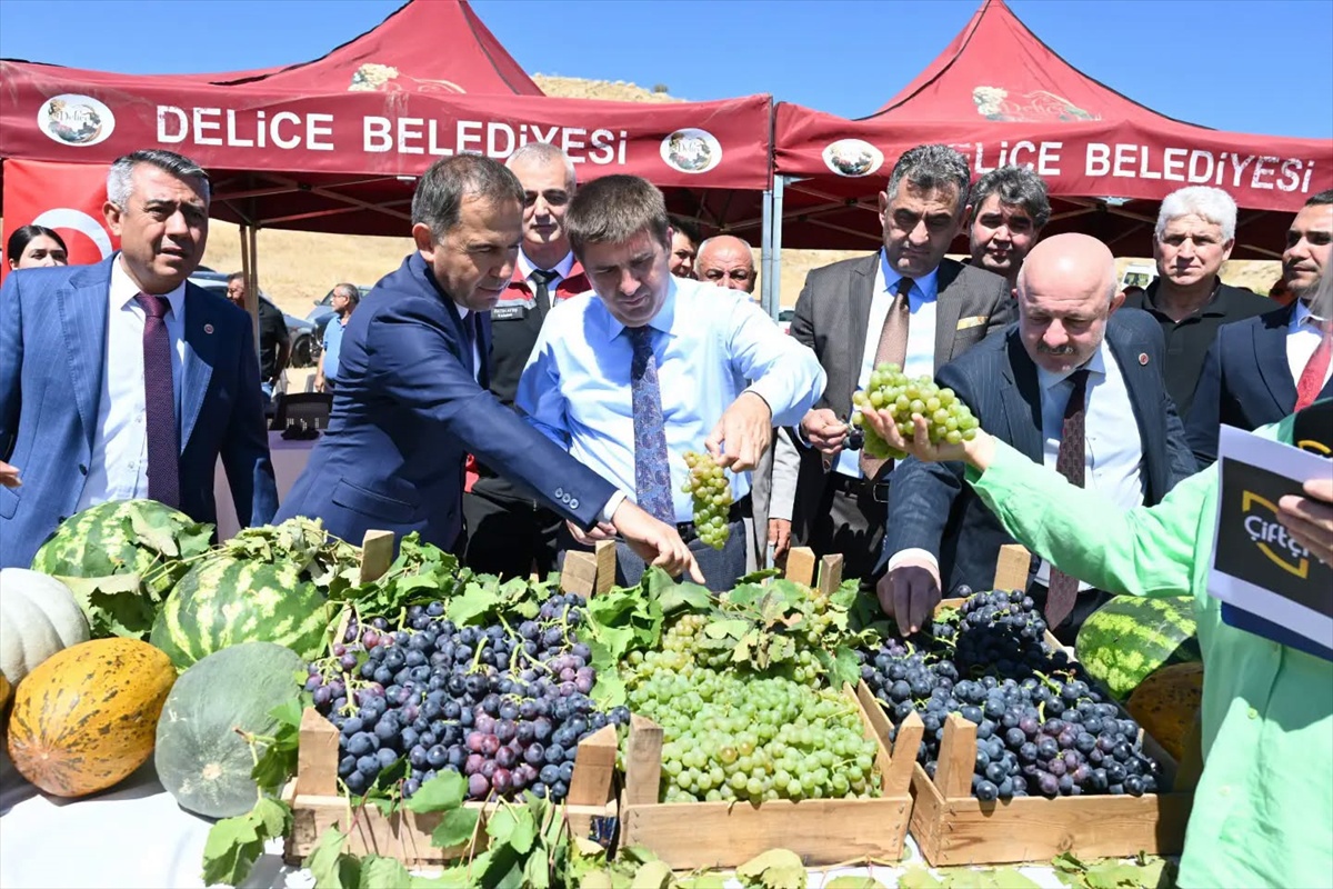 Kırıkkale Delice\'de 4 bin dönümde üzüm hasadı başladı, 6 bin ton rekolte bekleniyor