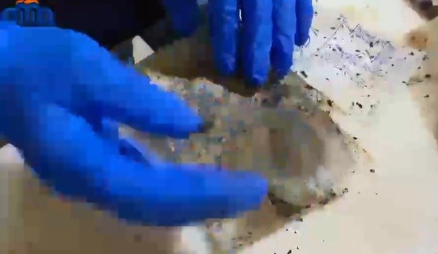 Malatya Battalgazi'de kumar operasyonunda 12 şüpheli yakalandı
