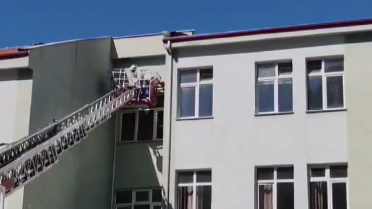 Sinop\'ta okulun çatısına yuvalanan arılar güvenle kovana taşındı