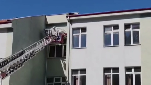 Sinop'ta okulun çatısına yuvalanan arılar güvenle kovana taşındı