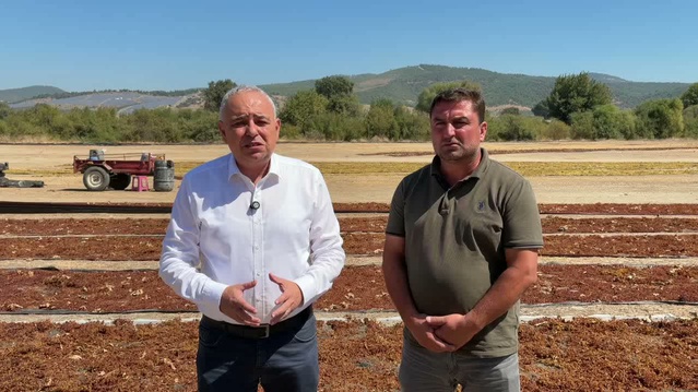 Bakırlıoğlu, TMO'nun 95 liralık üzüm fiyatına Saruhanlı'da tepki gösterdi
