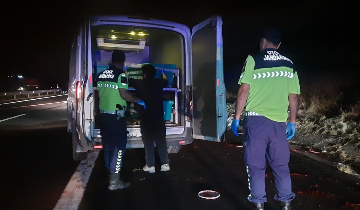 Adana Ceyhan\'da tıra çarpan kamyonetteki 2 kişi olay yerinde hayatını kaybetti