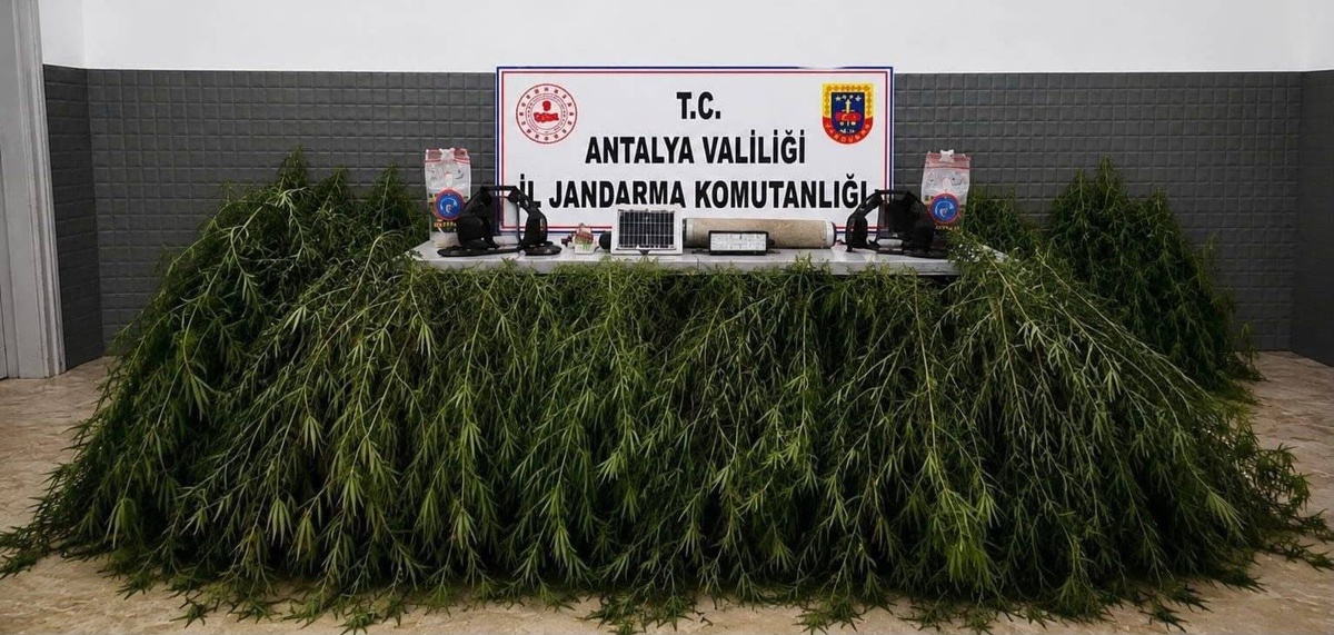 Antalya Aksu\'da yasadışı kenevir operasyonunda 2 şüpheli yakalandı