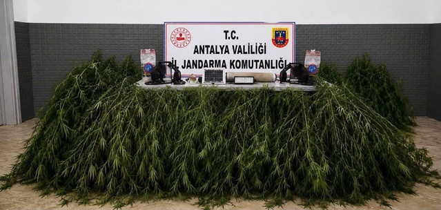 Antalya Aksu'da yasadışı kenevir operasyonunda 2 şüpheli yakalandı