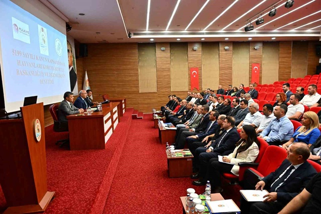 Denizli'de sahipsiz hayvan zirvesi, okul çevreleri için 3 gün süre verildi