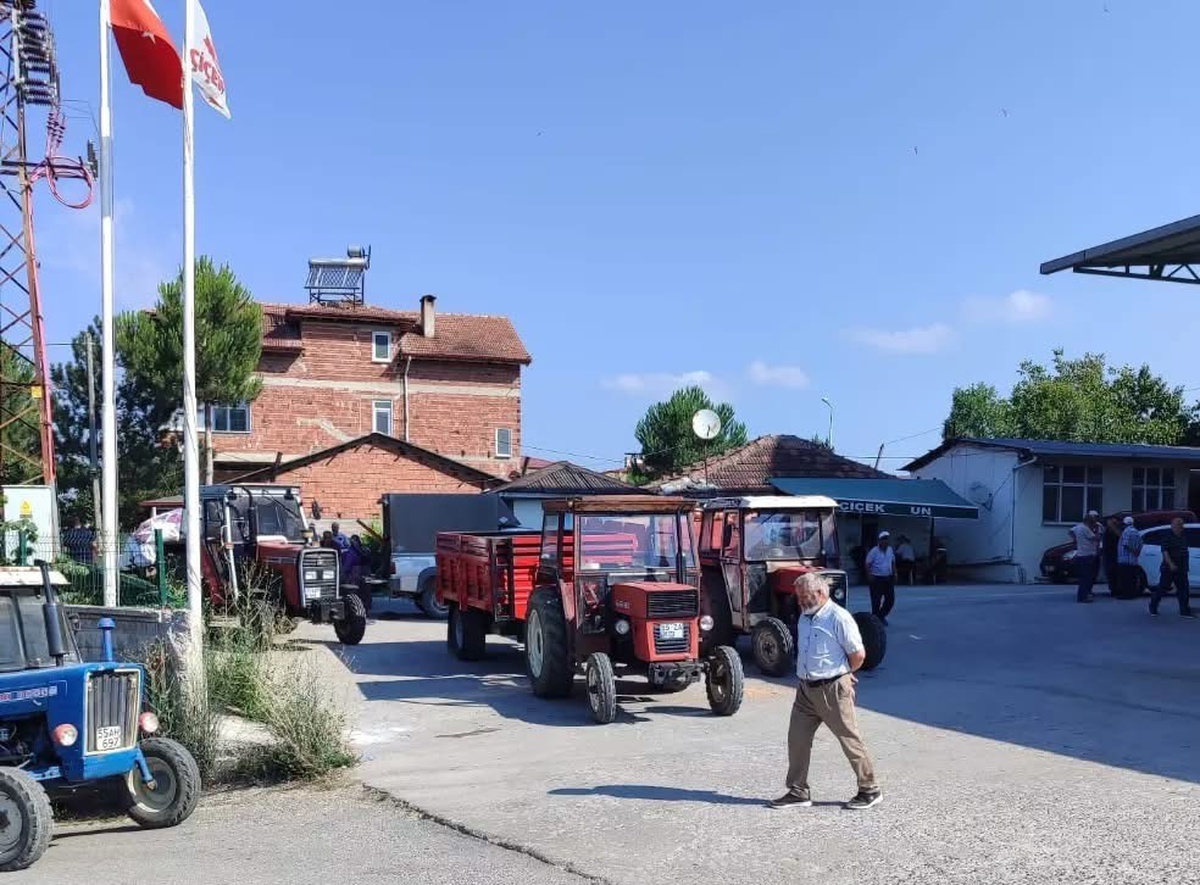 Kavak'ta TMO geçici alım merkezinde 2 bin 20 ton buğday teslim edildi