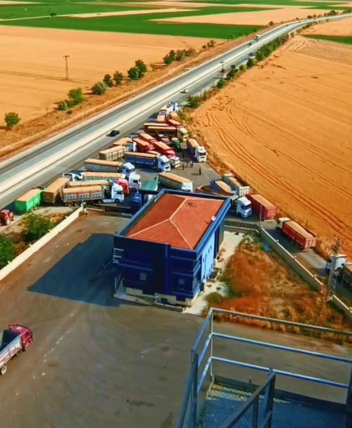 TMO, Konya\'da 92 noktada yaklaşık 2 milyon ton hububat alımı yaptı
