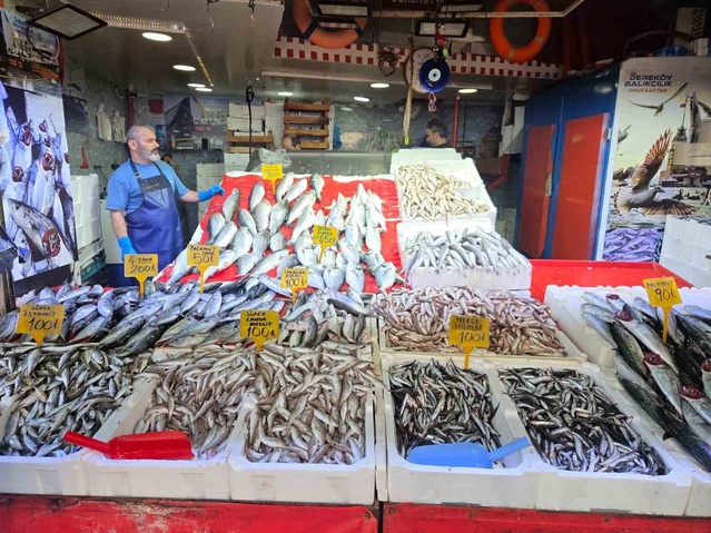 Karadeniz'de palamut bolluğu sürüyor, orta boy palamut 50 TL'ye geriledi