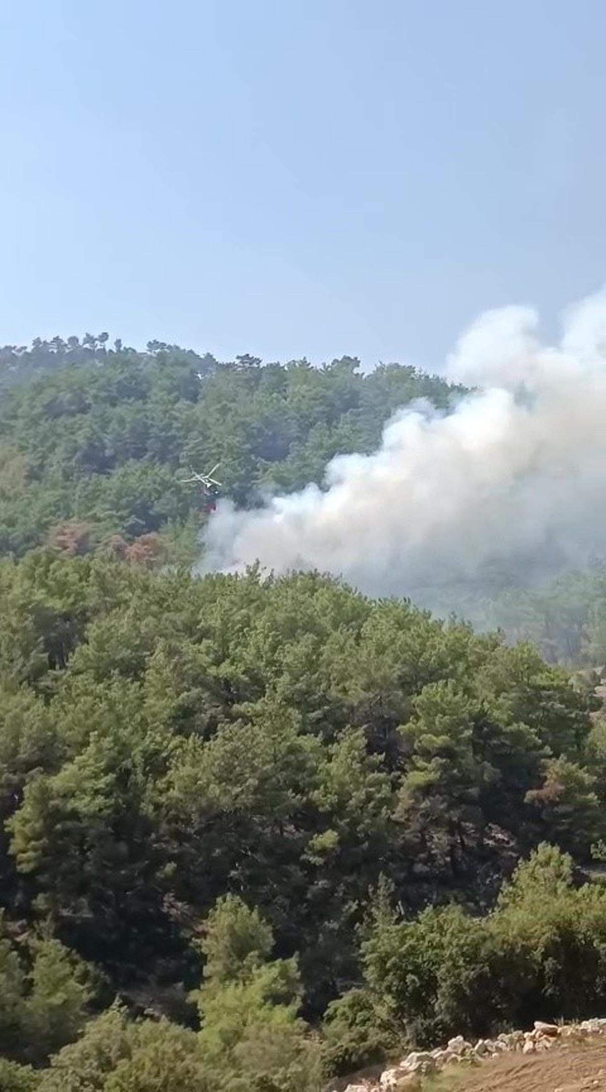 Adana Kozan\'da kontrol altına alınan ormanlık alanda yangın yeniden çıktı